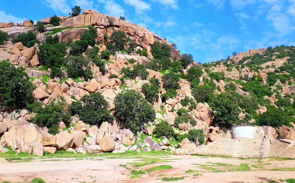 Pied de massif rocheux de Mongo, dans le Guéra, sous un ciel bleu, avec de la végétation verte entre les blocs