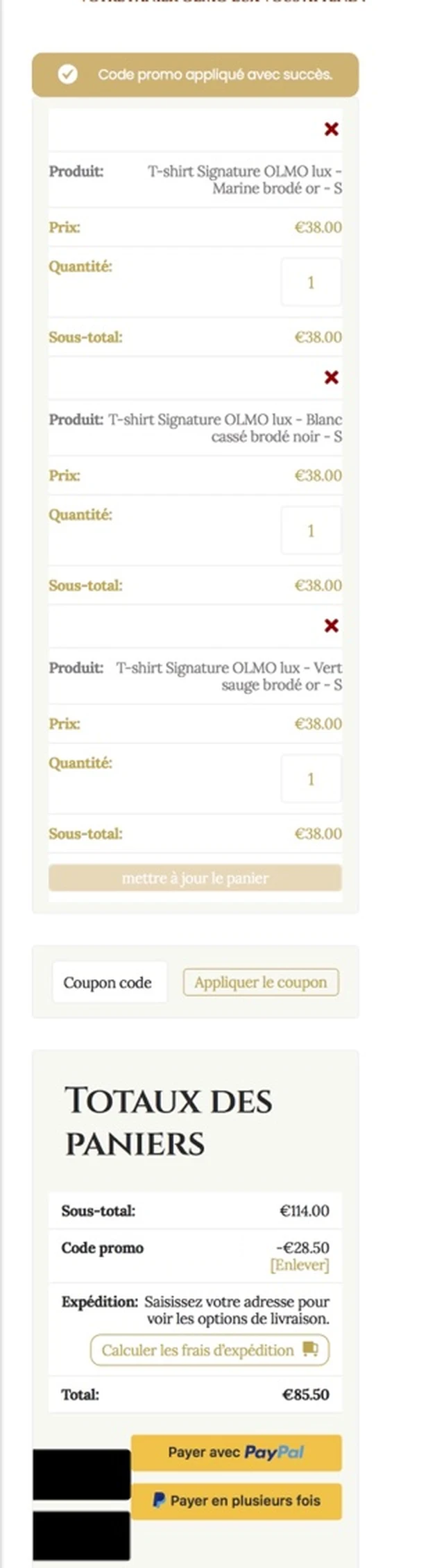 Panier mobile avant refonte : deux rectangles noirs sans libellé à côté des boutons PayPal, aucun bouton de validation lisible