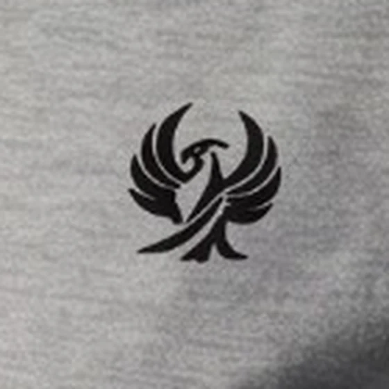Gros plan sur le phénix noir généré par IA sur un t-shirt gris chiné : un aplat noir sans lignes de piqûre